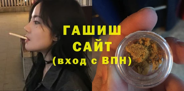 мдпв Гусев