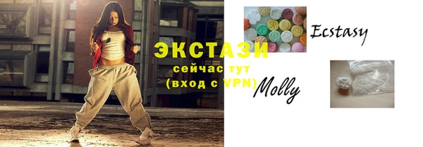 мдпв Гусев