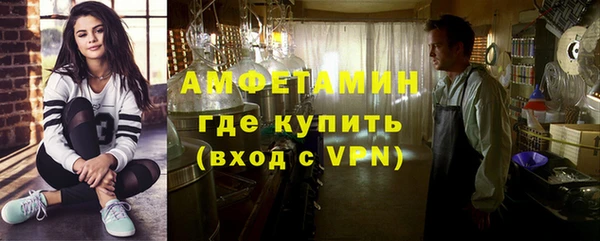 мдпв Гусев
