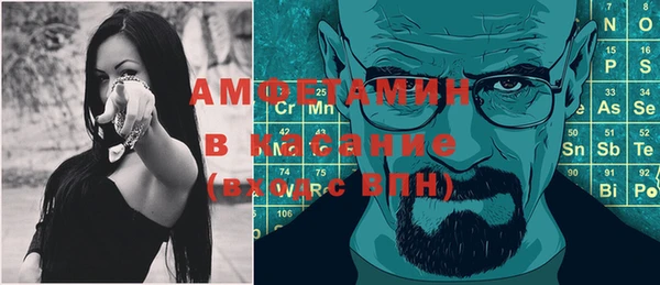 мдпв Гусев