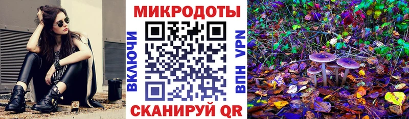 Псилоцибиновые грибы мицелий  Задонск 
